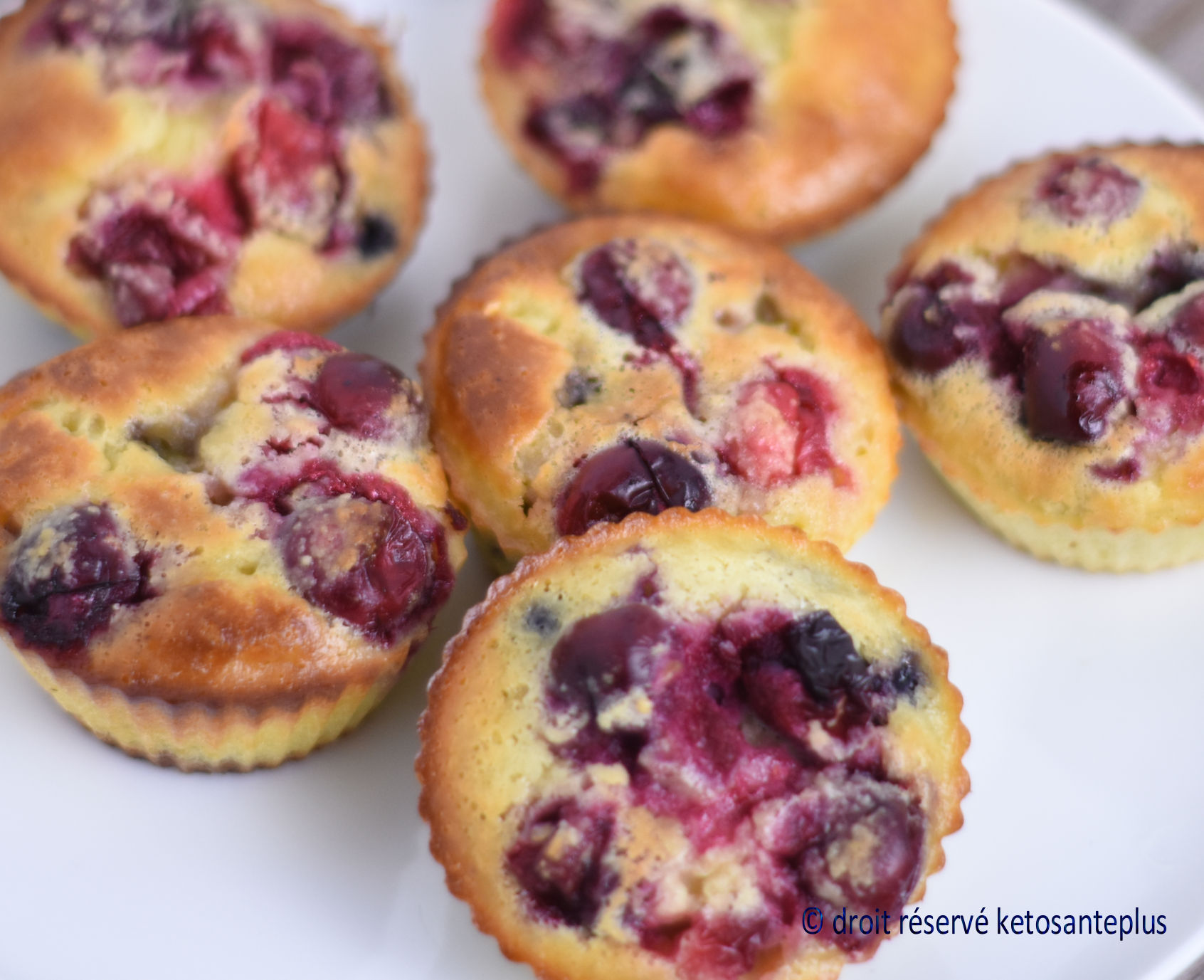 Muffins aux canneberges