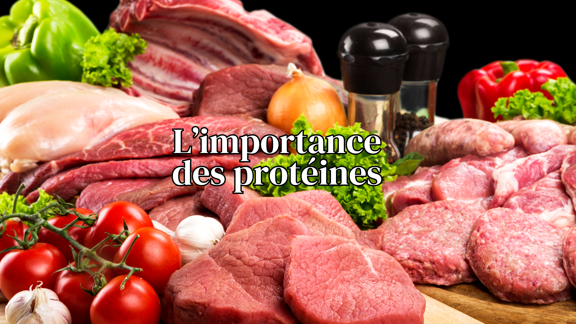 protéines pour brûler plus de gras