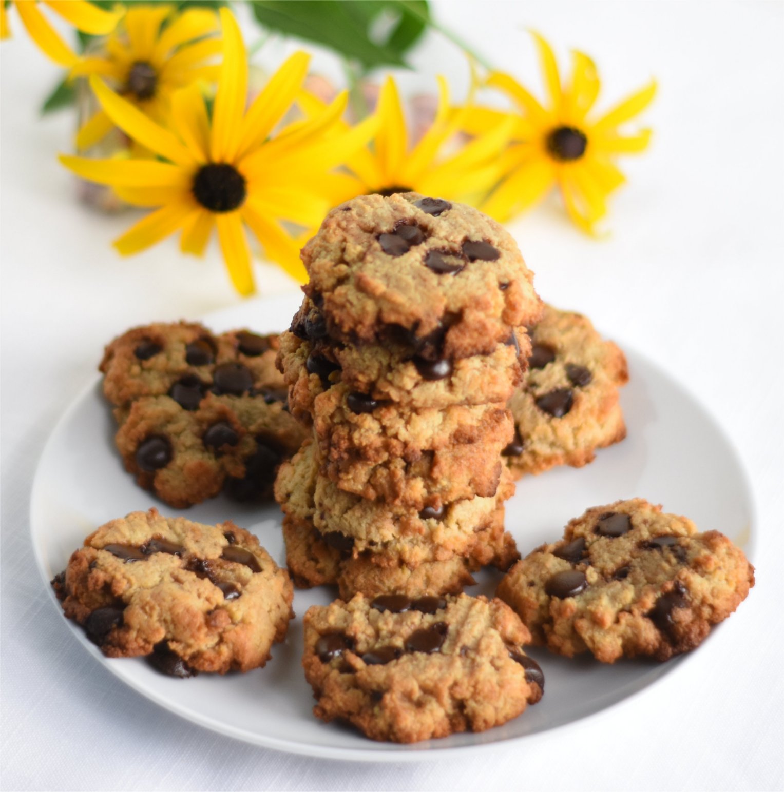 biscuits protéinés