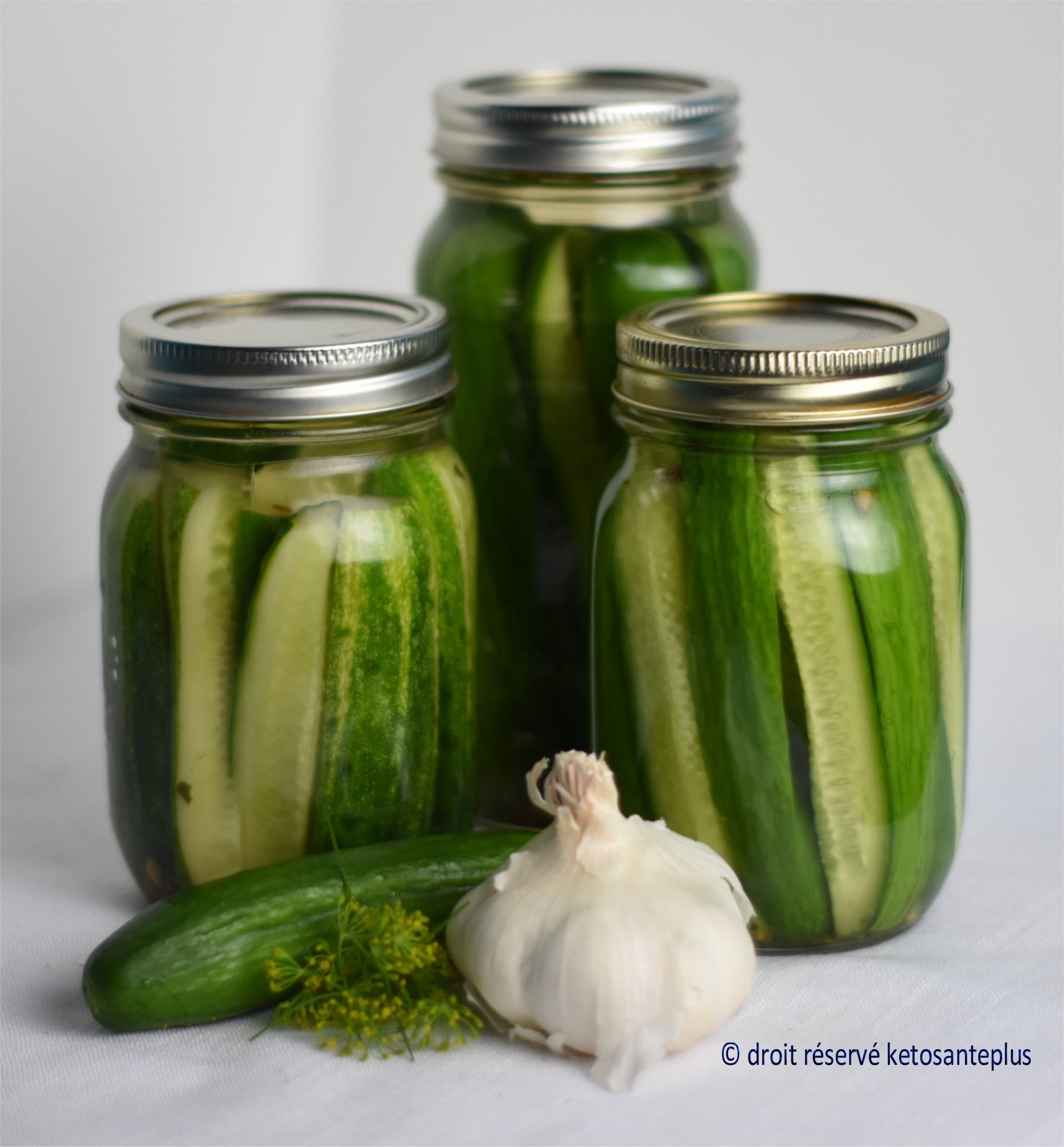 Cornichons lacto fermentés