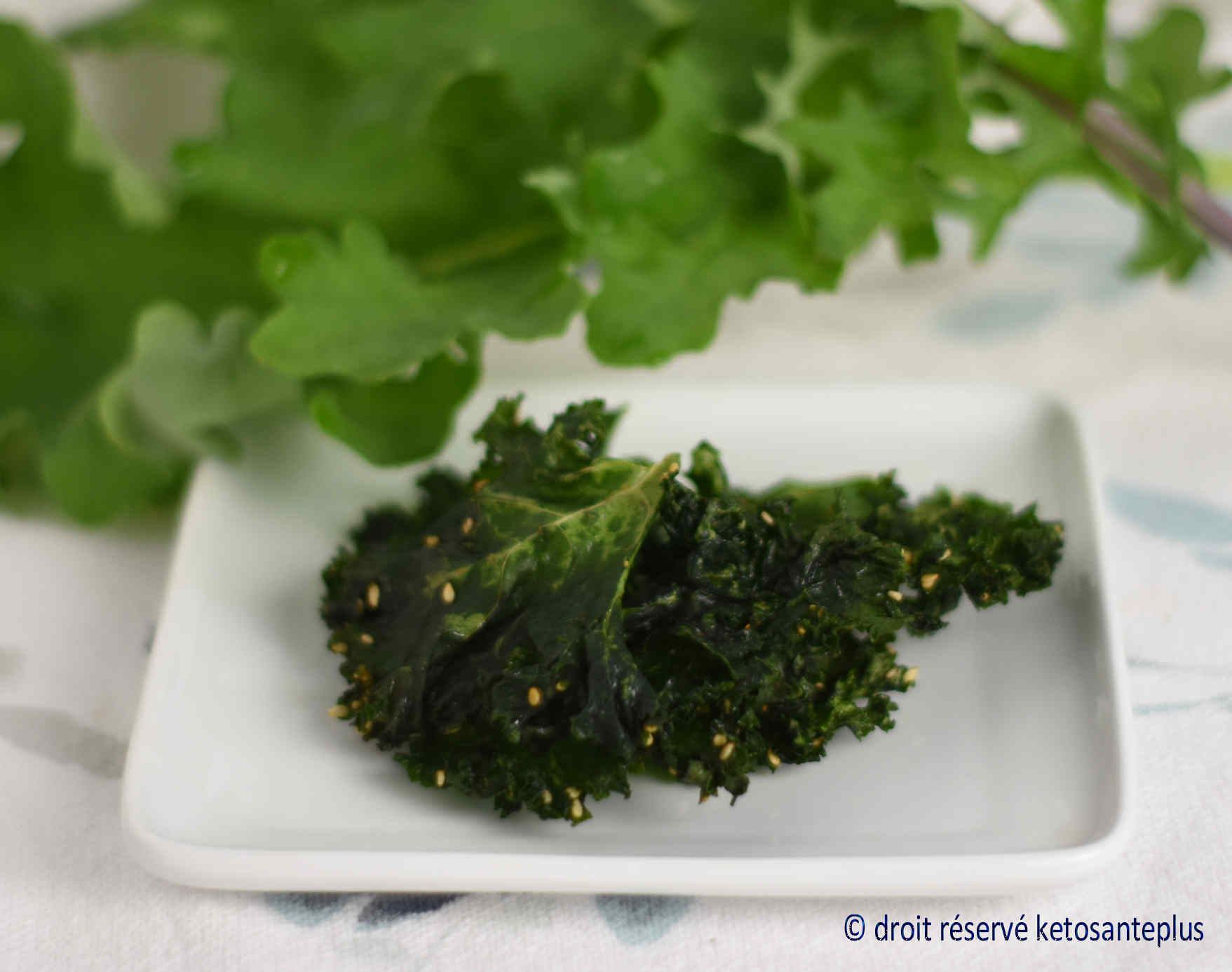 chips de kale